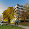 Ein Gebäude der TU Dortmund, Bäume in brauntönen des Herbst stehen vor dem Gebäude. Es laufen zwei Personen vor dem Weg her und links steht eine Nashornfigur auf der Wiese.